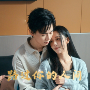 路过你的人间（31集）哪个网站可以看