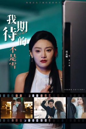 我期待的不是雪（30集）好看的国产短剧