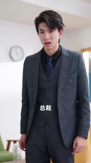 傅总请别纠缠不休（72集）免费短剧看不停