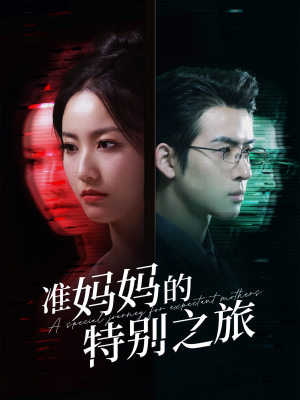准妈妈的特别之旅（80集）经典回顾免费看