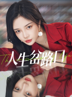 人生岔路口（30集）在线免费观影