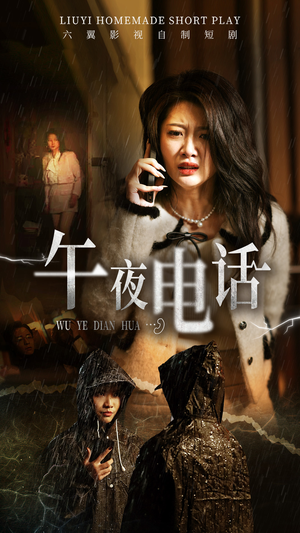 午夜电话（31集）无需会员轻松看