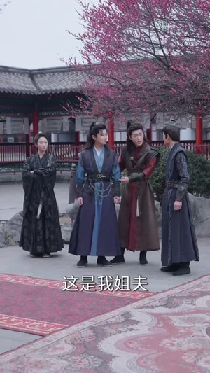 似此星辰非昨夜（81集） 看到大结局