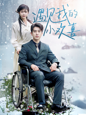 遇见我的小欢喜（70集） 免费短剧大全