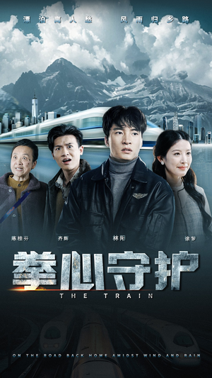 拳心守护（28集） 无需充值尽情看