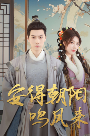 安得朝阳鸣凤来(32集) 安得朝阳鸣凤来(32集)免费在线看全集