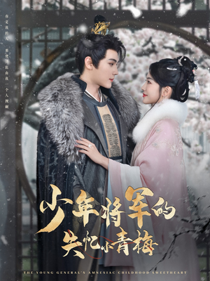 少年将军的失忆小青梅（100集）百度网盘资源