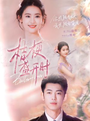 她的小桔梗（92集）短剧全集完整