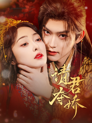 请君夺娇（71集）好看短剧看不停