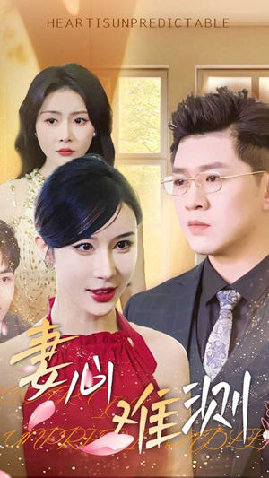 妻心难测（33集）全剧免费观看