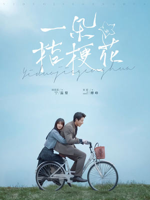 一朵桔梗花（71集） 短剧精彩不断