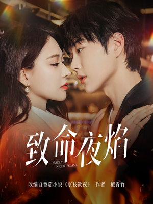 致命夜焰(80集) 致命夜焰(80集) 简直不要太好看