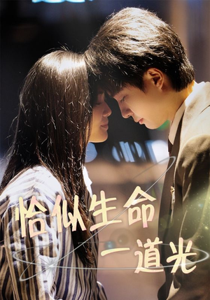 恰似生命一道光（60集） 爱短剧爱追剧
