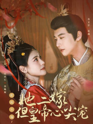 惹她干嘛，她二嫁但皇帝心尖宠（84集） 常回家看看短剧