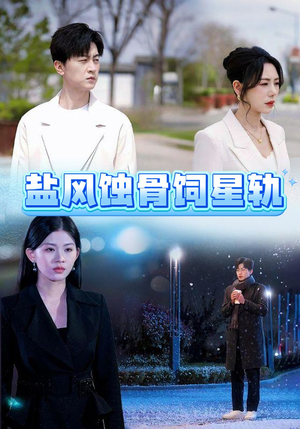 盐风蚀骨饲星轨（60集） 360网盘观看