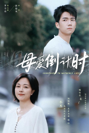 母爱倒计时（30集） 最后一集