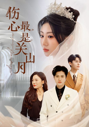 伤心最是关山月（82集）短剧有好货推荐