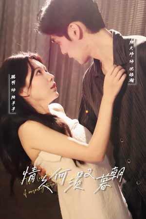 情久何须叹暮朝（61集） 热门短剧大全