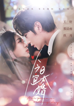 今日宜大婚（59集） 好看的短剧分享