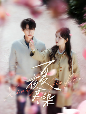 夏夜尽染（80集） 全集免费观看