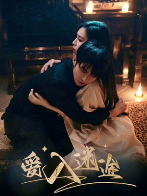 爱入迷途（67集）短剧推荐上热门