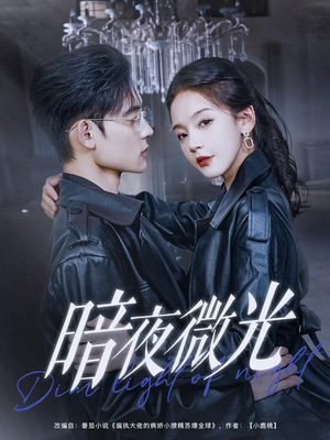 暗夜微光（86集）大结局