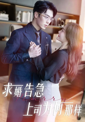 求婚告急上司为何那样（70集） 今日最火短剧