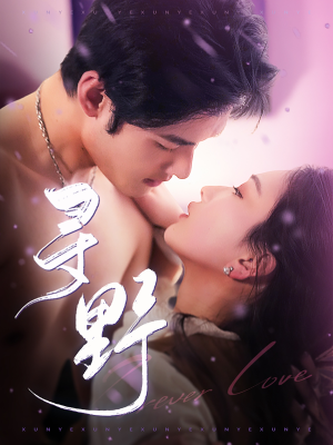 寻野（100集）精彩的网络短剧