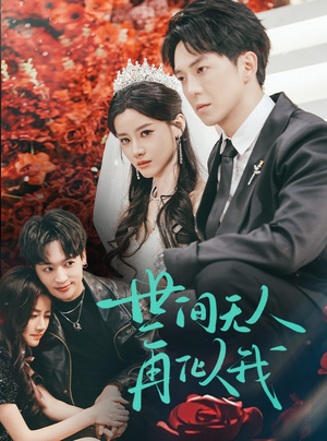 世间无人再似我(32集) 世间无人再似我(32集) 短剧解说全集