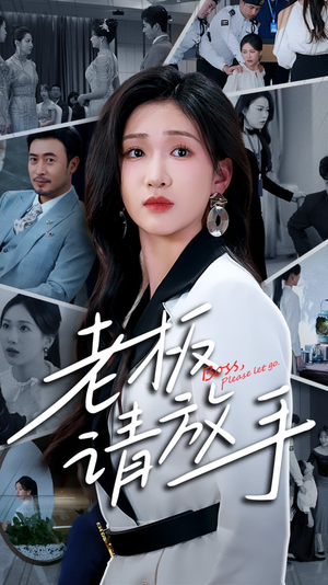 老板请放手（69集） 百度网盘资源