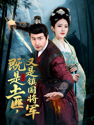 既是土匪，又是镇国将军（65集）简直不要太好看