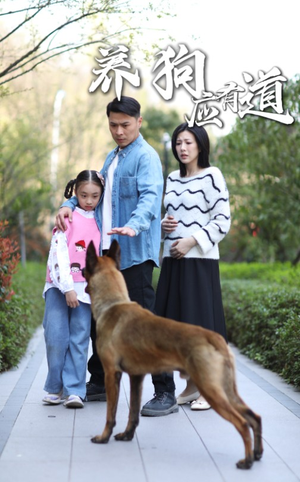 养狗应有道（60集）热门短剧追不停