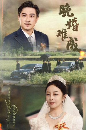 晚婚难成(60集) 晚婚难成(60集)越看越好看短剧