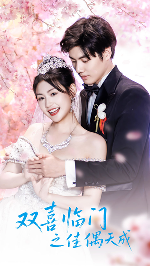 双喜临门之佳偶天成（42集）全集免费观看