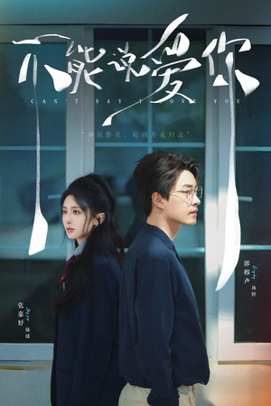 不能说爱你（64集）热门短剧在线看