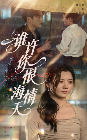 谁许你恨海情天（50集）免费版