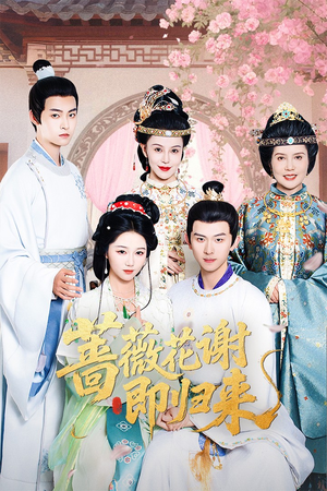 蔷薇花谢即归来（61集）这短剧太好看了