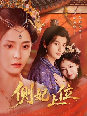 侧妃上位（80集）精彩好看的短剧