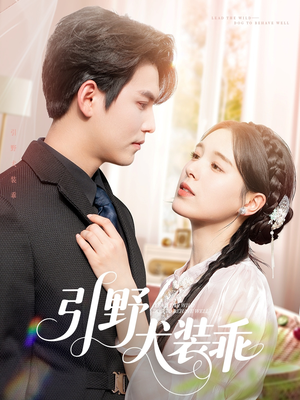 引野犬装乖（61集）在线免费观影