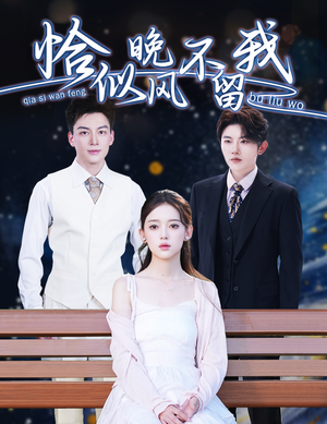 弃他如风（51集）越看越好看短剧