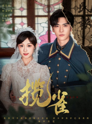 揽雀（61集）热门短剧追不停