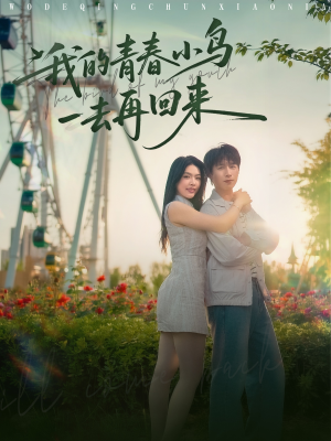 我的青春小鸟一去再回来（95集）每日短剧推荐