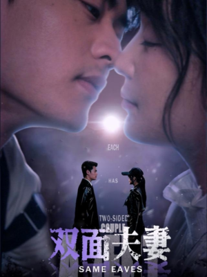 双面夫妻（67集）经典老剧免费看