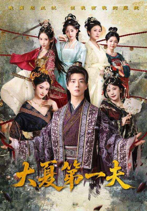 大夏第一夫（90集）独家内容免费看