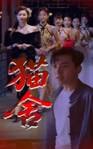 猫舍（34集）热播短剧推荐