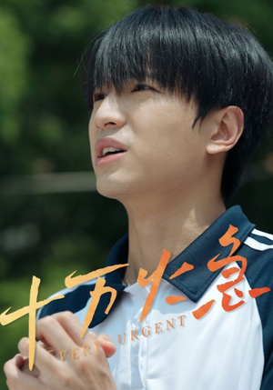 十万火急（30集）在线看