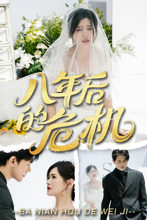 八年后的危机（35集）在线免费观看