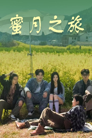 蜜月之旅（35集）高分佳作免费看