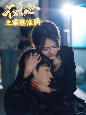 不可饶恕之难逃法网（20集）常回家看看短剧