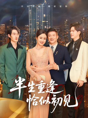 半生重逢恰似初见（90集）我全都看完了